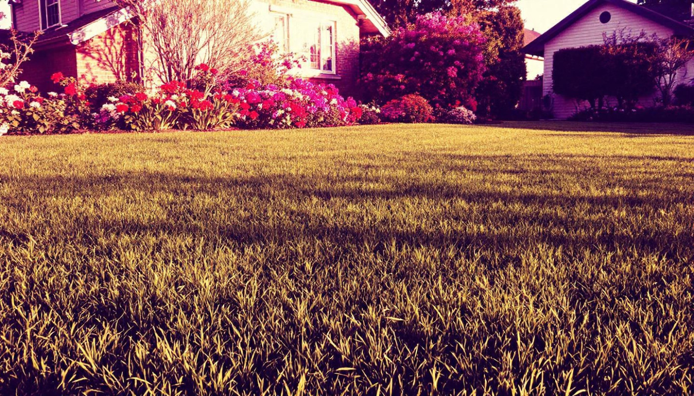 Comment un entretien régulier peut transformer votre espace extérieur ?